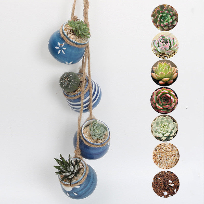 Hanging Wall Hanging Pots, Baskets, Hemp Rope, Succulents, Lazy Pots, Ceramics